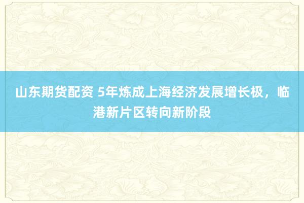 山东期货配资 5年炼成上海经济发展增长极，临港新片区转向新阶段