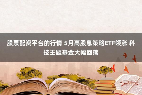 股票配资平台的行情 5月高股息策略ETF领涨 科技主题基金大幅回落