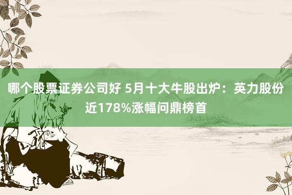 哪个股票证券公司好 5月十大牛股出炉：英力股份近178%涨幅问鼎榜首