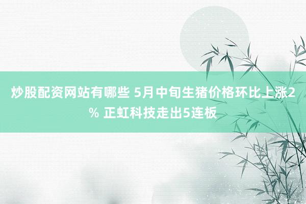 炒股配资网站有哪些 5月中旬生猪价格环比上涨2% 正虹科技走出5连板