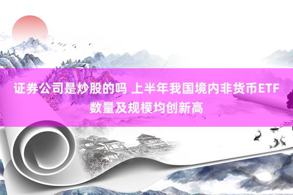 证券公司是炒股的吗 上半年我国境内非货币ETF数量及规模均创新高